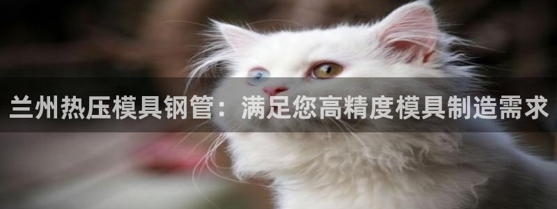emc易倍