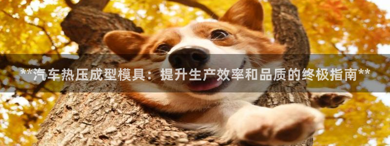 易倍纤奶昔减肥效果怎么样：**汽车热压成型模具：提升生产