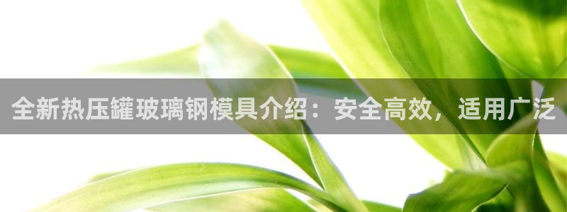 杭州易倍达上班怎么样：全新热压罐玻璃钢模具介绍：安全高效