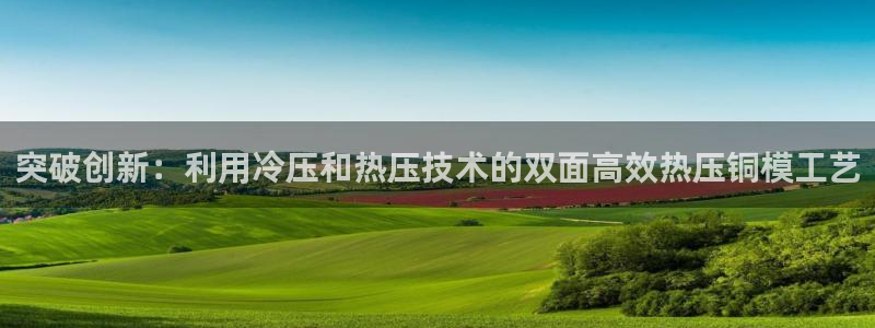 易倍单词登录网站：突破创新：利用冷压和热压技术的双面高效