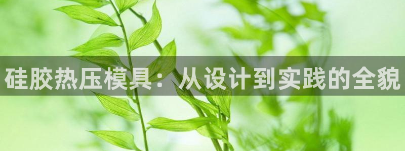 易倍纤能减肥吗：硅胶热压模具：从设计到实践的全貌