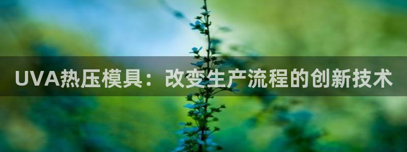 易倍电竞,有球必应：UVA热压模具：改变生产流程的创新技