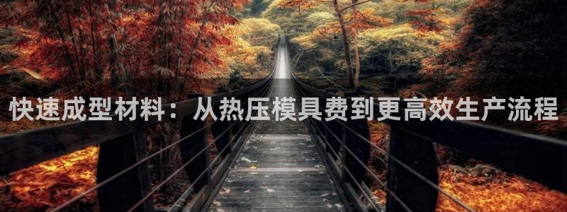 emc易倍官方：快速成型材料：从热压模具费到更高效生产流