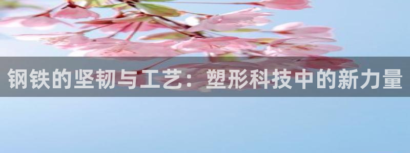 EMC易倍让身份验证：钢铁的坚韧与工艺：塑形科技中的新力