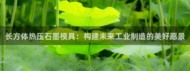 易倍单词官方网站下载