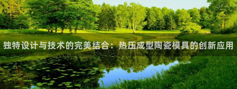 杭州易倍达：独特设计与技术的完美结合：热压成型陶瓷模具的