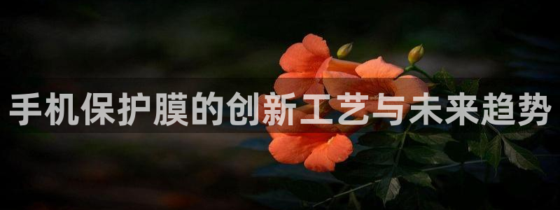 emc网页版：手机保护膜的创新工艺与未来趋势
