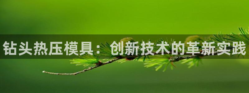 emc服务器是什么：钻头热压模具：创新技术的革新实践