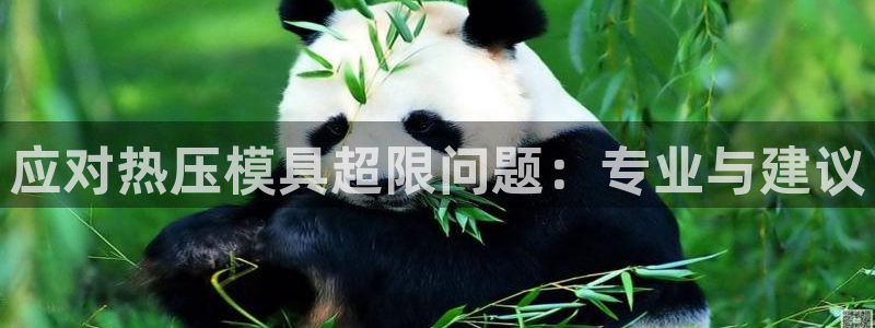 易倍达科技有限公司：应对热压模具超限问题：专业与建议
