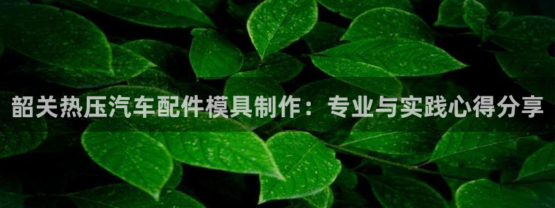 杭州易倍达科技有限公司怎么样：韶关热压汽车配件模具制作：