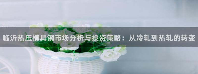 emc32软件：临沂热压模具钢市场分析与投资策略：从冷轧
