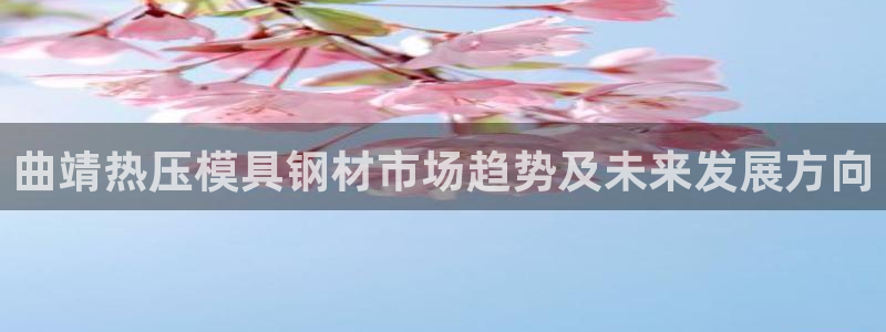 emc低频不过：曲靖热压模具钢材市场趋势及未来发展方向