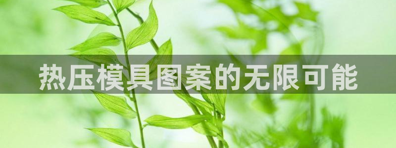 EMC倍频是什么意思：热压模具图案的无限可能