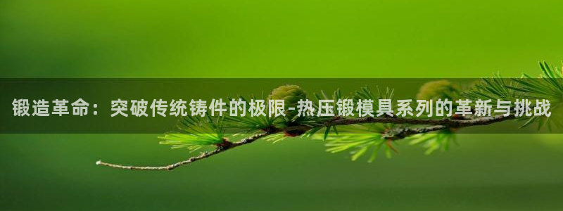 emcapp下载普通下载：锻造革命：突破传统铸件的极限-