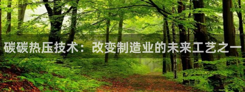 易倍申价格：碳碳热压技术：改变制造业的未来工艺之一