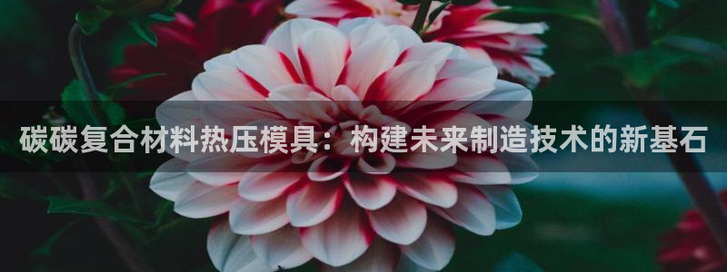 易倍申能长期吃吗：碳碳复合材料热压模具：构建未来制造技术