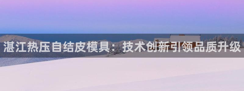 易倍单词官方网站的：湛江热压自结皮模具：技术创新引领品质