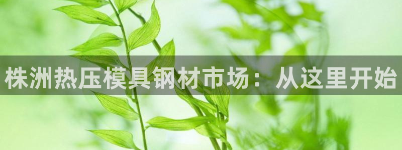 易倍申竞品：株洲热压模具钢材市场：从这里开始