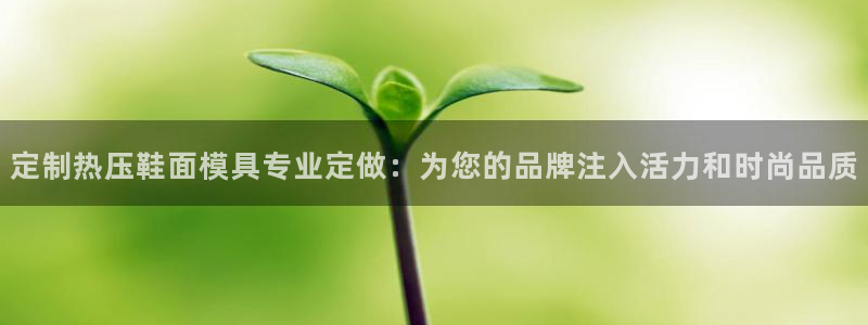 易倍纤能减肥吗：定制热压鞋面模具专业定做：为您的品牌注入