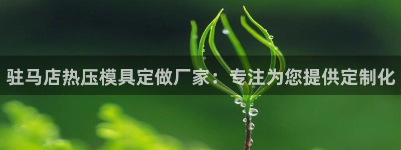 易倍申多少钱：驻马店热压模具定做厂家：专注为您提供定制化