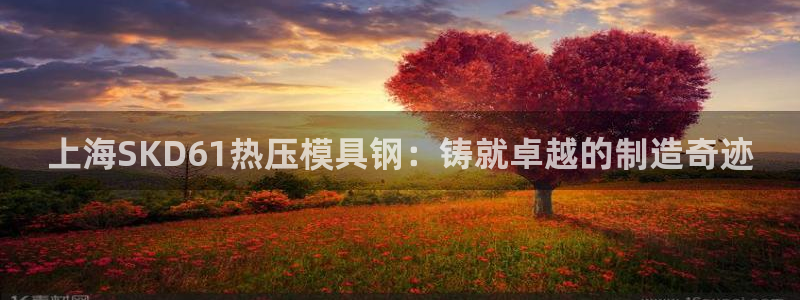易倍单词登录平台：上海SKD61热压模具钢：铸就卓越的制