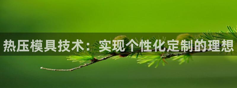 emc网页版