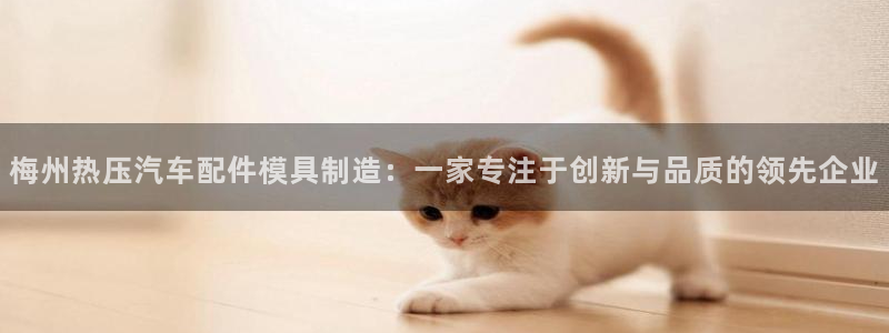 易倍全站下载：梅州热压汽车配件模具制造：一家专注于创新与