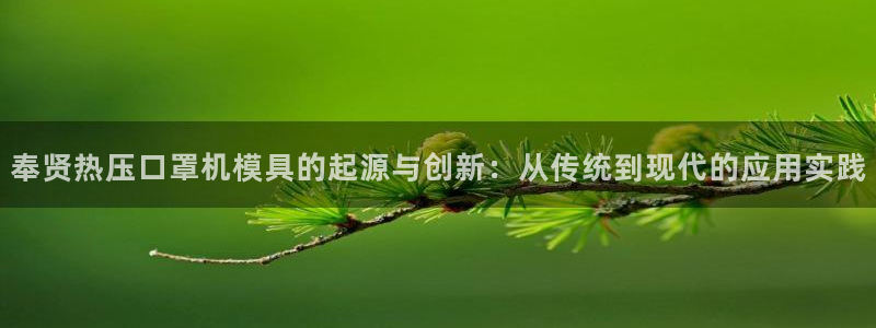 emc易倍官网app下载：奉贤热压口罩机模具的起源与创新