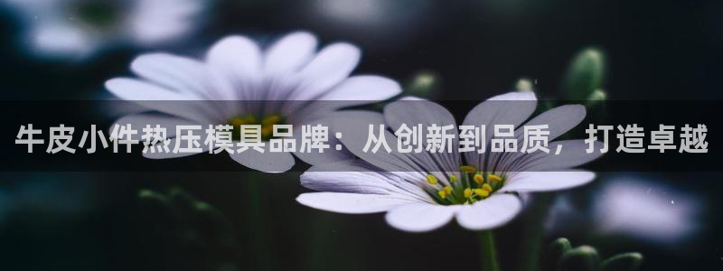易倍纤代餐奶昔减肥效果怎么样：牛皮小件热压模具品牌：从创