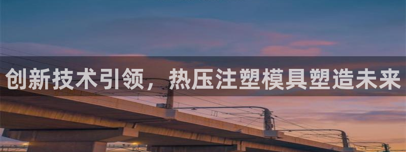 易倍网络技术有限公司官网：创新技术引领，热压注塑模具塑造