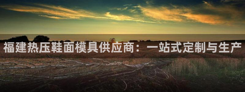 易倍申医保报销：福建热压鞋面模具供应商：一站式定制与生产