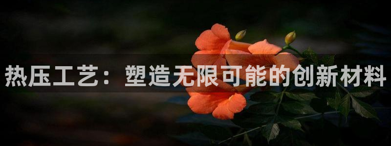 emc32软件：热压工艺：塑造无限可能的创新材料