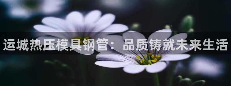 易倍申能长期吃吗：运城热压模具钢管：品质铸就未来生活