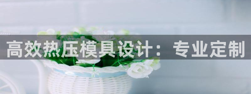 EMC易倍让身份验证：高效热压模具设计：专业定制