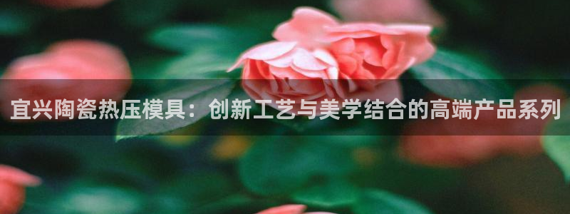 易倍全站：宜兴陶瓷热压模具：创新工艺与美学结合的高端产品