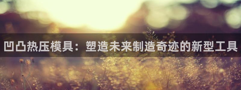 易倍申可以长期服用吗：凹凸热压模具：塑造未来制造奇迹的新
