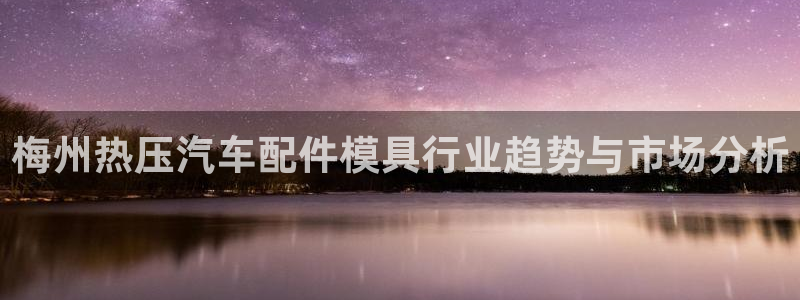 易倍企业管理软件：梅州热压汽车配件模具行业趋势与市场分析