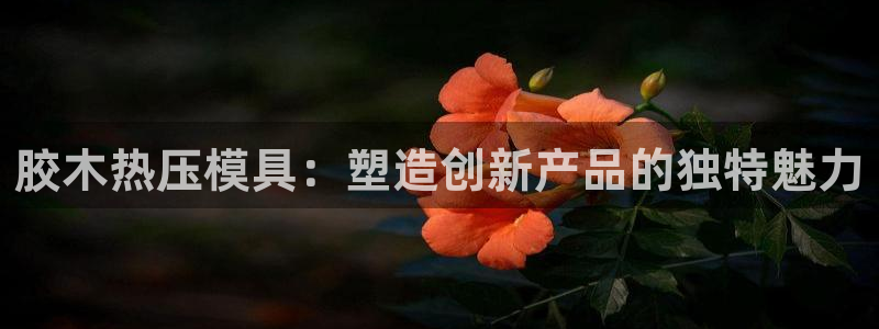易倍申的价格：胶木热压模具：塑造创新产品的独特魅力