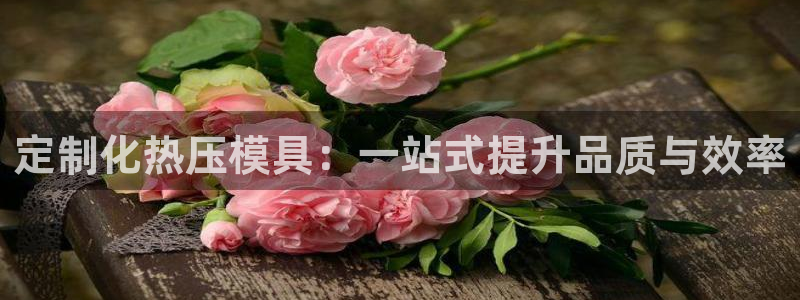 emc易倍官网app：定制化热压模具：一站式提升品质与效