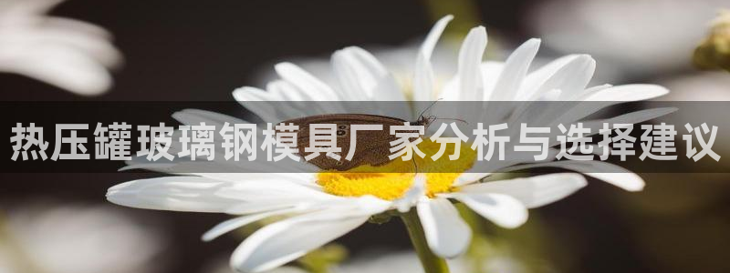 易倍app网站：热压罐玻璃钢模具厂家分析与选择建议