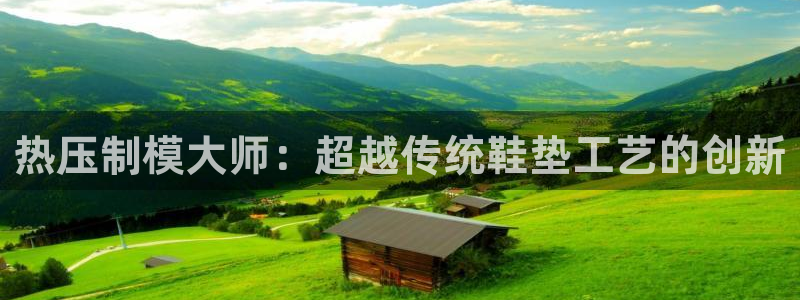 易倍申厂家