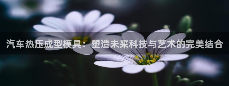 emc mcu：汽车热压成型模具：塑造未来科技与艺术的完