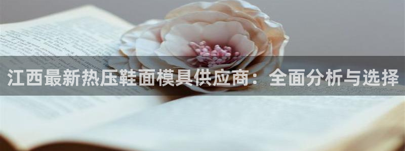 易倍申多少钱一盒：江西最新热压鞋面模具供应商：全面分析与