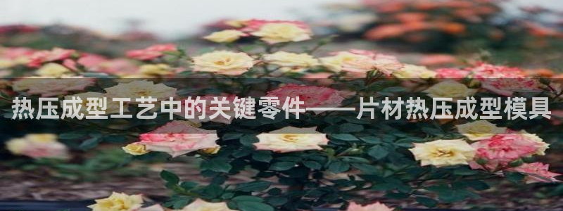 emc服务器是干啥的：热压成型工艺中的关键零件——片材热