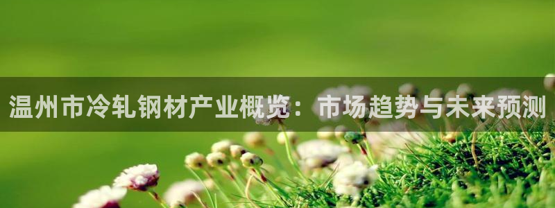 杭州易倍达科技有限公司怎么样：温州市冷轧钢材产业概览：市