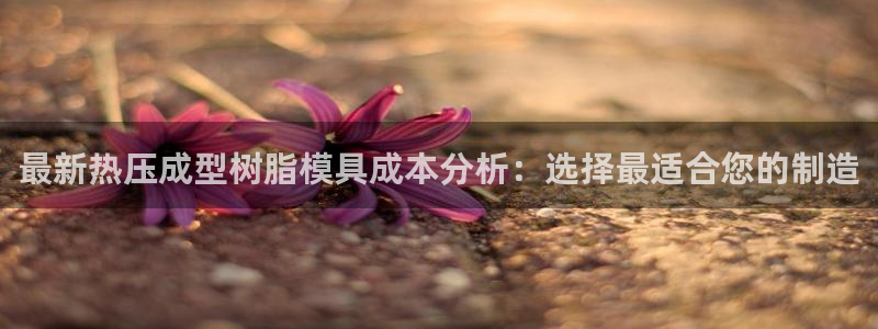 易倍单词官方网站下载安卓：最新热压成型树脂模具成本分析：