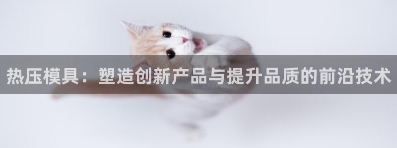 emc易倍官网登录首页:热压模具:塑造创新产品与提升品质