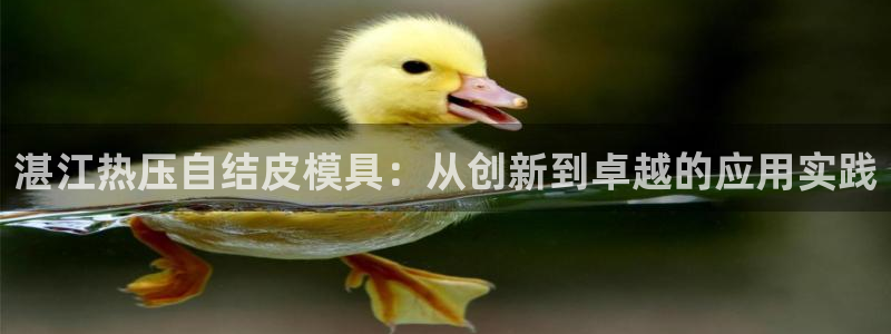 易倍达科技有限公司