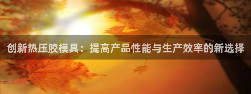 emc易倍官方:创新热压胶模具:提高产品性能与生产效率的