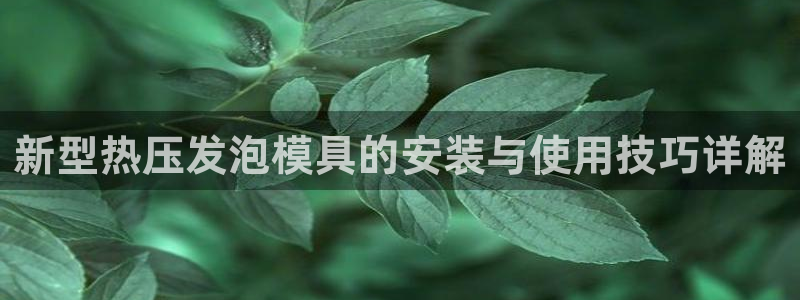 易倍企业管理软件：新型热压发泡模具的安装与使用技巧详解